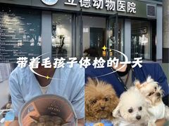 -立德24H动物医院·夜诊·转诊中心·1.5T核磁共振(海珠店)