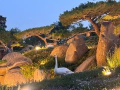 -罗红摄影艺术馆