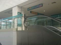 -上海市第六人民医院(临港院区)