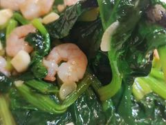 虾仁烧菠菜-老健康贾姨原味馆