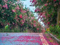 -武汉紫薇都市田园