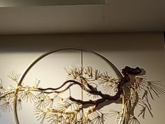 -裕丰源滋补烩面(天赋路店)