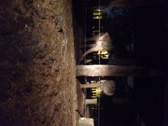iphone_upload_pic-清迈夜间动物园