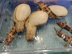 -阿伟海鲜楼·福建菜(延寿店)