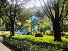 -金鸡山公园