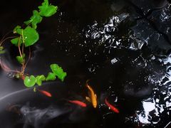 景观位-宣和苑(华侨新村店)