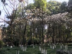 -绵阳人民公园(涪城区)
