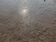 -碧海金沙