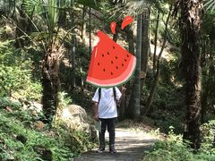 -瑶琳仙境