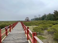 -北海金海湾红树林生态旅游区