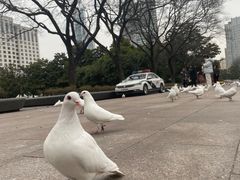 -人民广场