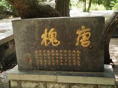 -千佛山风景名胜区