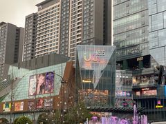 -合景·悠方(成都店)