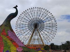 -七彩云南欢乐世界