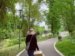 -桤木河湿地公园