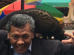 -乌布德传统市场