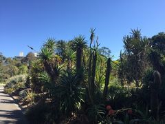 -墨尔本皇家植物园