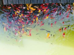 -泰安地下龙宫景区