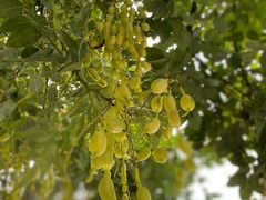 -南京市无想山景区