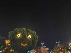 -特克斯八卦城
