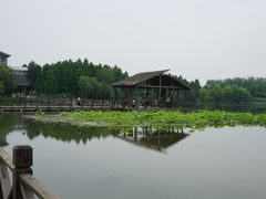 -溱湖国家湿地公园