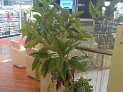 -米仓食堂(皇庭广场店)