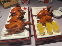 -大鸽饭(体育西路店)