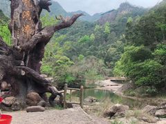 -龙湾潭国家森林公园