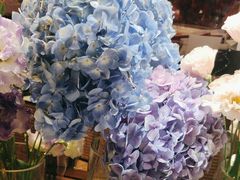 -谷莠子花艺·气球派对·绿植造景·花艺沙龙(金光华广场店)