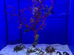 -多彩贵州城极地海洋世界