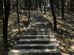 -火炉山森林公园