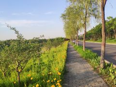-洨河生态公园