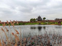 -上海海湾国家森林公园
