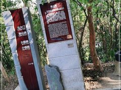 -梧桐山风景名胜区