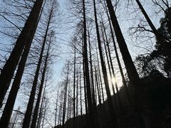 -香山公园