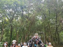-成都老君山