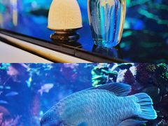 -迪拜帆船酒店海底餐厅