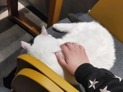 -脉冲品质汽美·贴膜(闵行店)