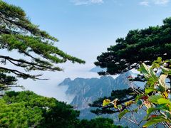 -黄山风景区
