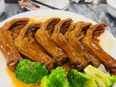 -鸽鸟轩(石岐店)