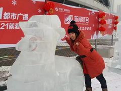 -沈阳奥体冰雪嘉年华
