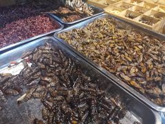 -昆虫窝子·特色云南菜(拓东路总店)