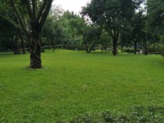 -晓港公园
