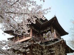 -西安青龙寺遗址景区