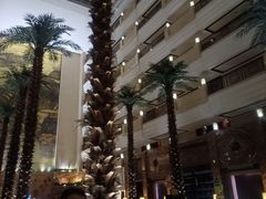 -西安唐隆国际酒店(大雁塔大唐不夜城店)