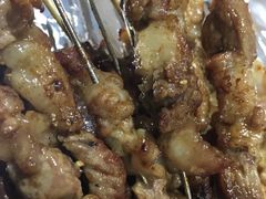 -金刚山烧烤(红旗大街店)