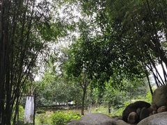 -三江森林温泉度假区