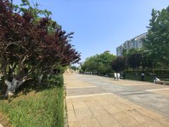 -元大都城垣遗址公园