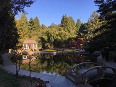 -庐山风景区花径公园