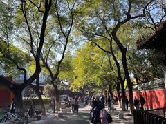 -北京国子监胡同